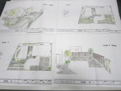 Mulberry　Haus　ﾌｫﾚｽﾄｶﾞｰﾃﾞﾝ計画進行中！！