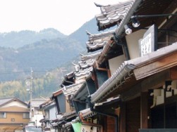みなさんも使ってください！「木」を使ったことわざ①