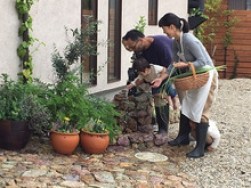 Mulberry　Houseにコンポスター設置！！