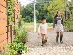 ハーブが一斉に伸びる季節です～浜松市のパッシブ新築注文住宅のマルベリーハウス（桑原建設）