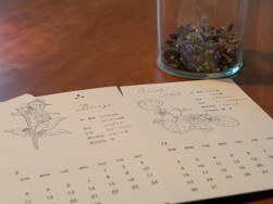 ハーブのカレンダー。スタンプ作家HUTTE.さんの作品です ～新築注文住宅 マルベリーハウス