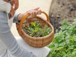 「いいな」と感じたら、すぐに取り入れられるライフスタイル