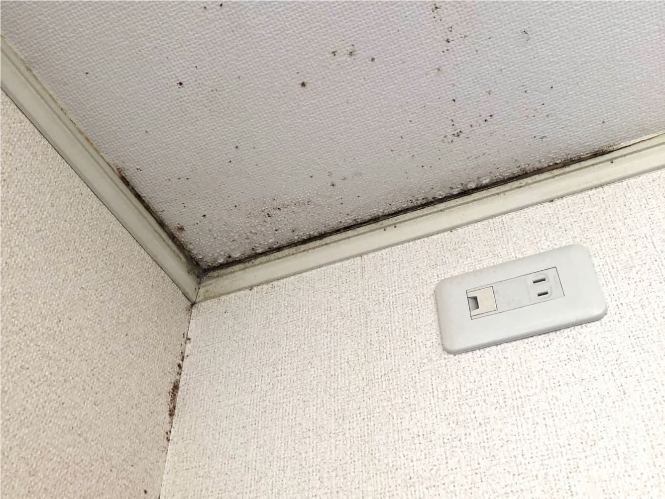 地域特性を踏まえた防露